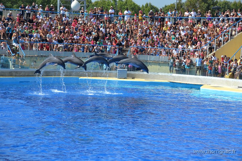 Marineland aout 2014 21.JPG - Marineland - Parc d'attractions aquatiques - Antibes - Août 2014